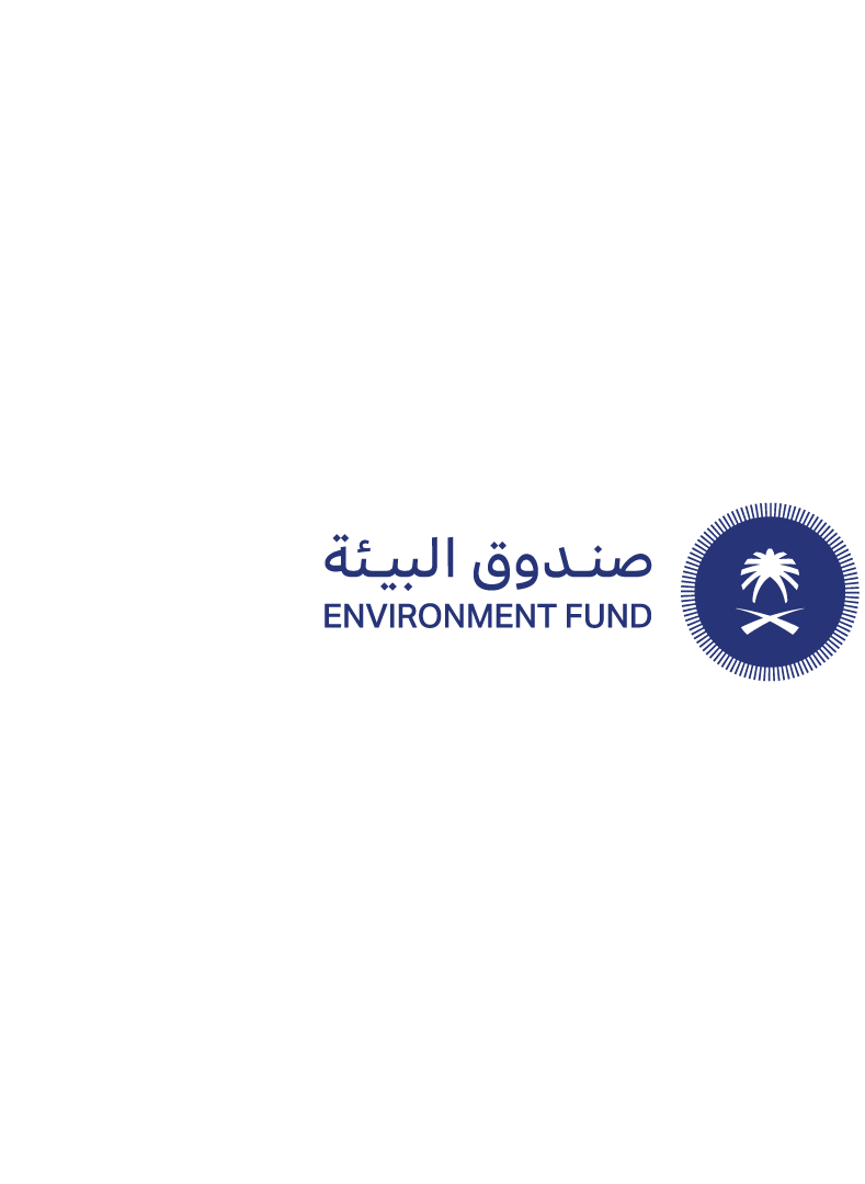 صندوق البيئة